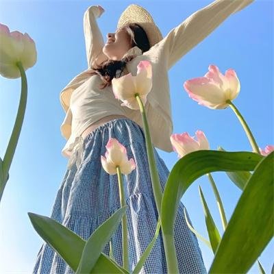 油麻菜籽